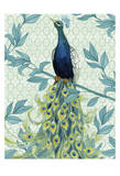 Peacock Full Tail