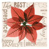 Poinsettia