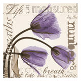 life Tulips