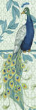 Pretty Peacock 1