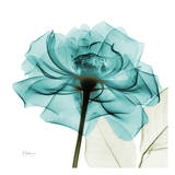 Teal Rose