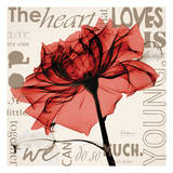 Red Rose Love