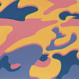 Camouflage  1987 (Pink  Purple  Orange)