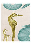 Under The Sea 4