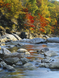 River Flowing Through Forest in Autumn  North Fork  Potomac State Forest  Maryland  USA