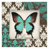 Dream Butterfly