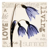 Snow Drop Summer
