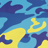 Camouflage  1987 (Blue  Yellow)