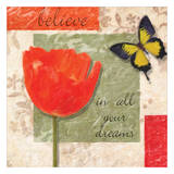 Believe Poppy