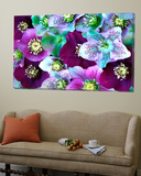 Heliborus Pattern of Winter Blooming Flower  Sammamish  Washington  USA