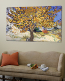Mulberry Tree  c1889