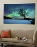 Aurora Borealis over Sandvannet Lake in Troms County  Norway