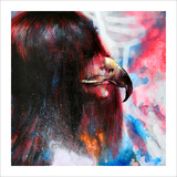 I Am a Hawk