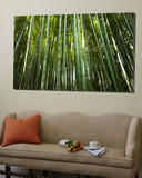 Bamboo Forest  Arashiyama-Sagano District