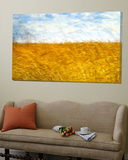 Golden Grass in the Wind