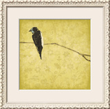 Birds On Branch