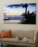 Palm Tree on the Beach  Wailua Bay  Kauai  Hawaii  USA
