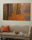 Autumn Road  Monadnock Mountain  New Hampshire  USA