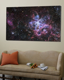 The Tarantula Nebula