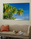 Palm Trees and Tropical Beach  Maldive Islands  Indian Ocean