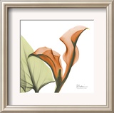 A Gift of Calla Lilies in Orange