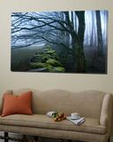 Moss Covered Stone Wall and Trees in Dense Fog