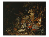 Nest of Redstarts with White Head  Undated