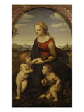 La Belle Jardinière  Virgin and Child with Young John the Baptist  1507-08