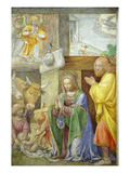 Nativity  Fresco  C1520-5  Painted for a Greco-Milanese Oratory Near Milan