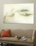 Study of Entwined White Flowers