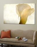 Detail of Calla Lily