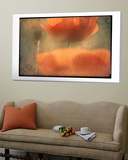 Study of Orange Poppies