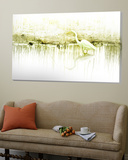 Crane Standing in Shallow Waters