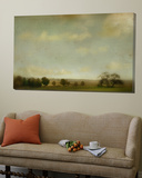Field of Crops and Trees