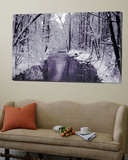 Snow Covered Trees along Creek in Winter Landscape