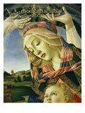 The Madonna of the Magnificat  C1465