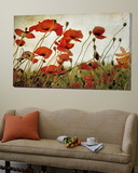 Orange Flower Patch