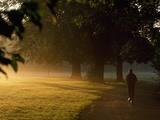 A Jogger Running in Early Morning Mist