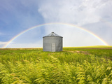 A Rainbow over a Grain Silo and Wheat Field after a Thunderstorm