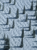 A Skier Descends the Face of Bell Mountain  Aspen Mountain Ski Area
