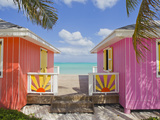 A Typical Tropical Scene with Colorful Buildings  Palms and Water