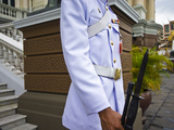 Soldier of the Kings Guard with Rifle and Bayonet at the Throne Hall