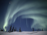 The Aurora Borealis over a Snowy Landscape with Evergreen Trees