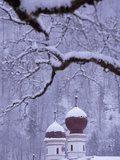The Domes Atop the Saint Bartholoma Church and Snowy Tree Branches