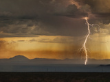 A Ground Fire Ignited by a Lightning Storm