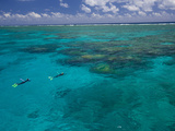 The Great Barrier Reef Out of Port Douglas in Australia