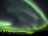 The Aurora Borealis Streaks the Sky Above Birch Creek