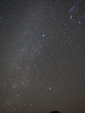 The Milky Way Shines Above a Dragon's Blood Tree