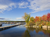 Brilliantly Colored Trees on a Lake Shore During Autumn