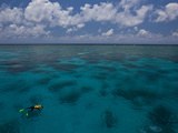 A Lone Snorkeler on the Water at the Great Barrier Reef